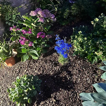 Recinto Nobili 2 - Private Parking Vista Cortile * Άστι