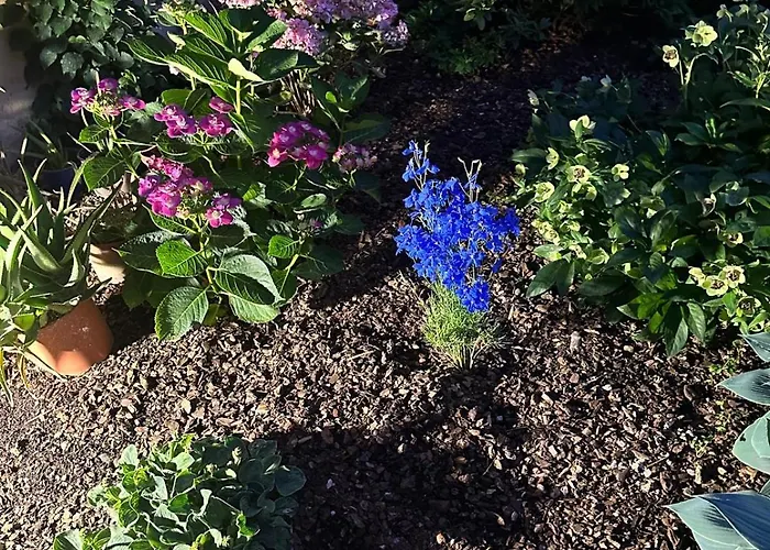 Recinto Nobili 2 - Private Parking Vista Cortile * Asti